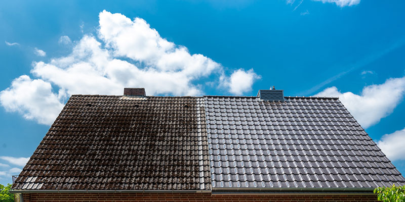 Why Roof Cleaning is Better Than Roof Replacement
